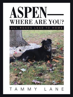 cover image of Aspen—Where Are You?
